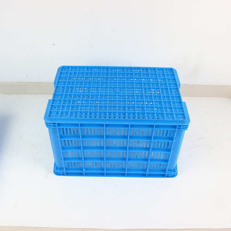 批发加厚700*487*410装水果的大号塑料周转筐蓝色镂空塑胶框子700