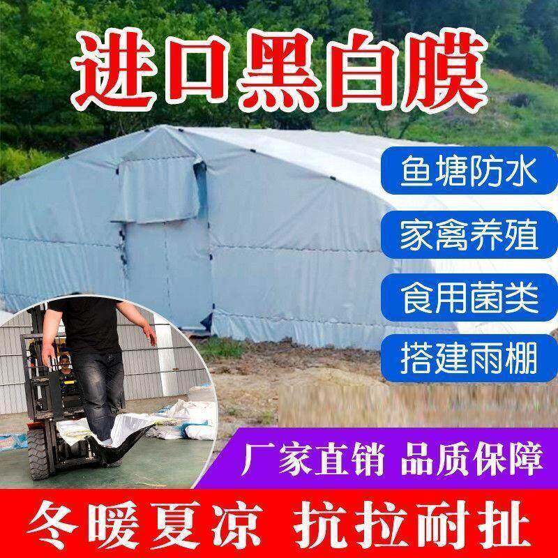 黑白膜进口养殖大棚加厚防晒隔热抗老化反光膜食用菌棚膜青储棚膜