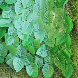 高品质1 饰植物藤条仿真过胶篱笆围栏 3m仿真篱笆绿萝叶阳台庭院装