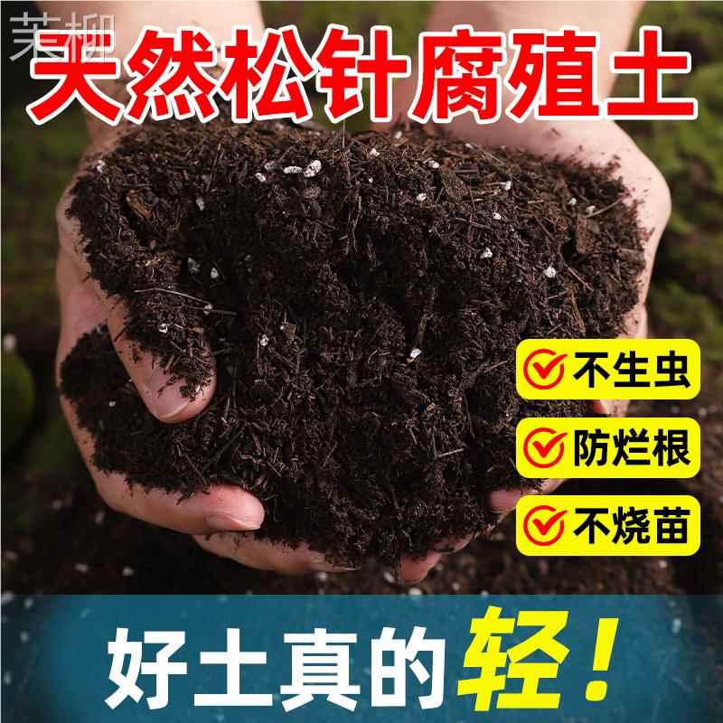 松针腐殖土天然腐叶腐熟纯君子兰花多肉泥炭营养土养花通用专用土