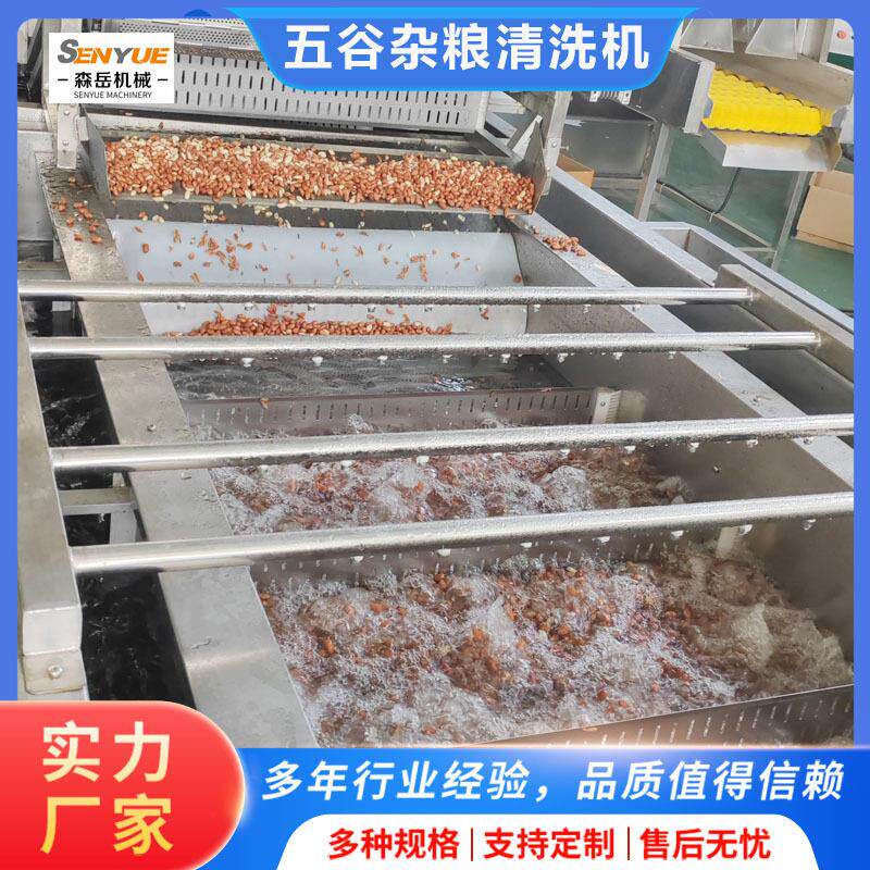 花生黄豆气泡清洗机杂粮清洗流水线诸城森岳厂家莲子芡实清洗机