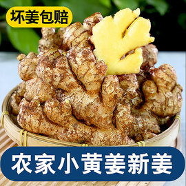 农家自种小黄姜9斤新鲜现挖生姜月子姜土姜食用时蔬菜整箱非老姜