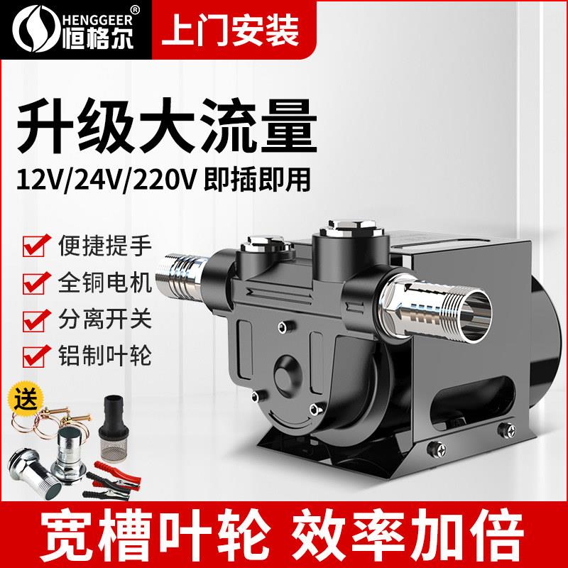 电动抽油泵12V24V220V伏油泵柴油抽油机抽油器加油机加油泵抽油泵