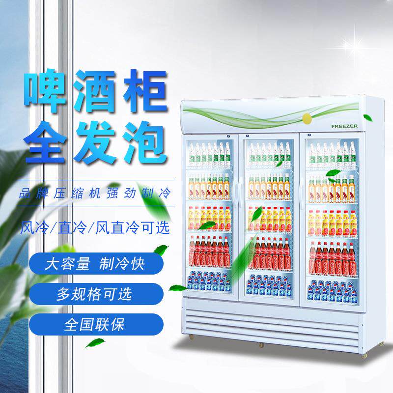 冷藏展示柜饮料柜冰柜商用立式双门保鲜柜啤酒冰箱冷柜玻璃门立柜