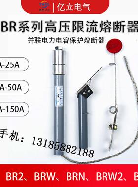 BR1BR2-10-12KV/130A135A140A145A150A160A并联电容高压熔断器