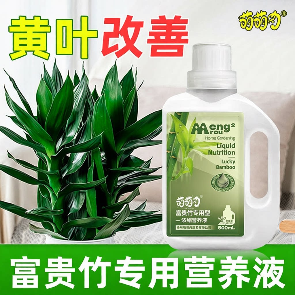 富贵竹营养液营养液花卉栽培基质