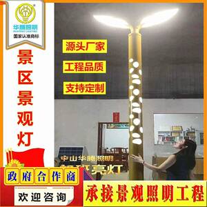 华腾厂家户外公园景圣莲造型景观灯大型商业广场亮化定制工程灯具