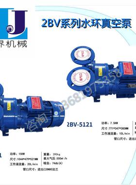 2BV水环式真空泵工业用2060/2061/2070/2071高真空水循环