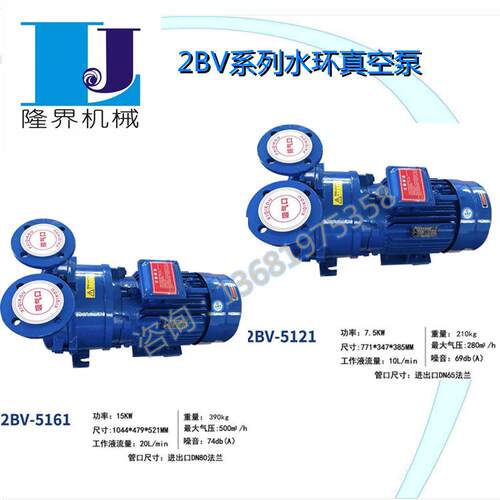 2BV水环式真空泵工业用2060/2061/2070/2071高真空水循环