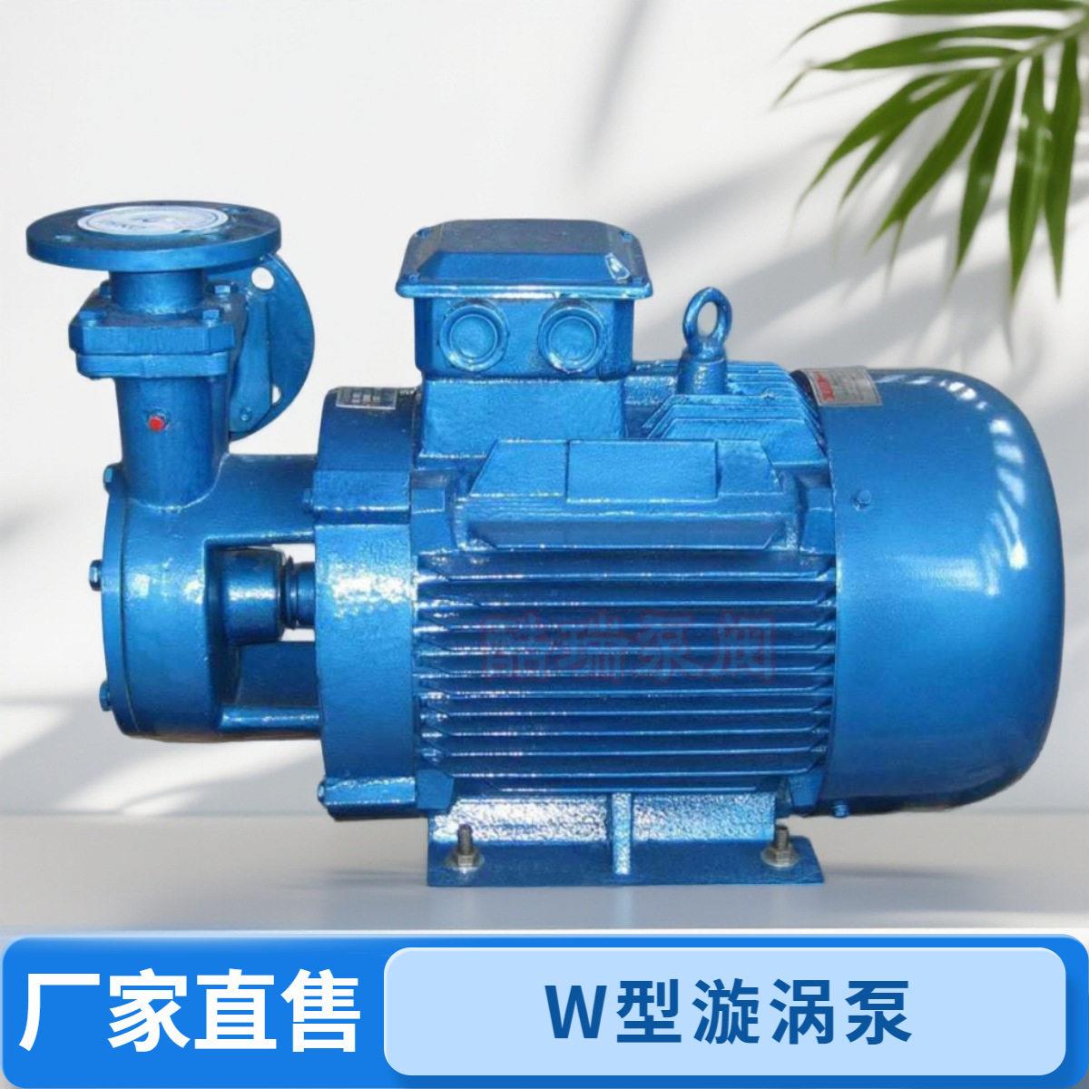 卧式漩涡泵W型旋涡泵20W-20锅炉给水漩涡泵压旋涡泵