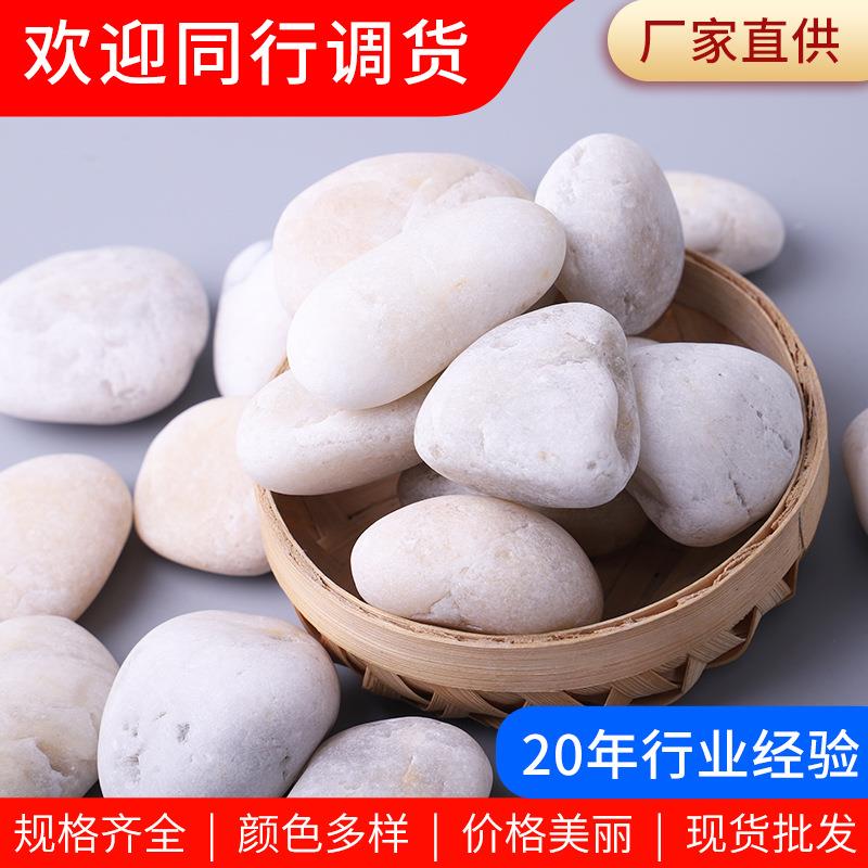 白色普抛鹅卵石 厂家工程铺路园林景观雨花石鱼缸造景石头