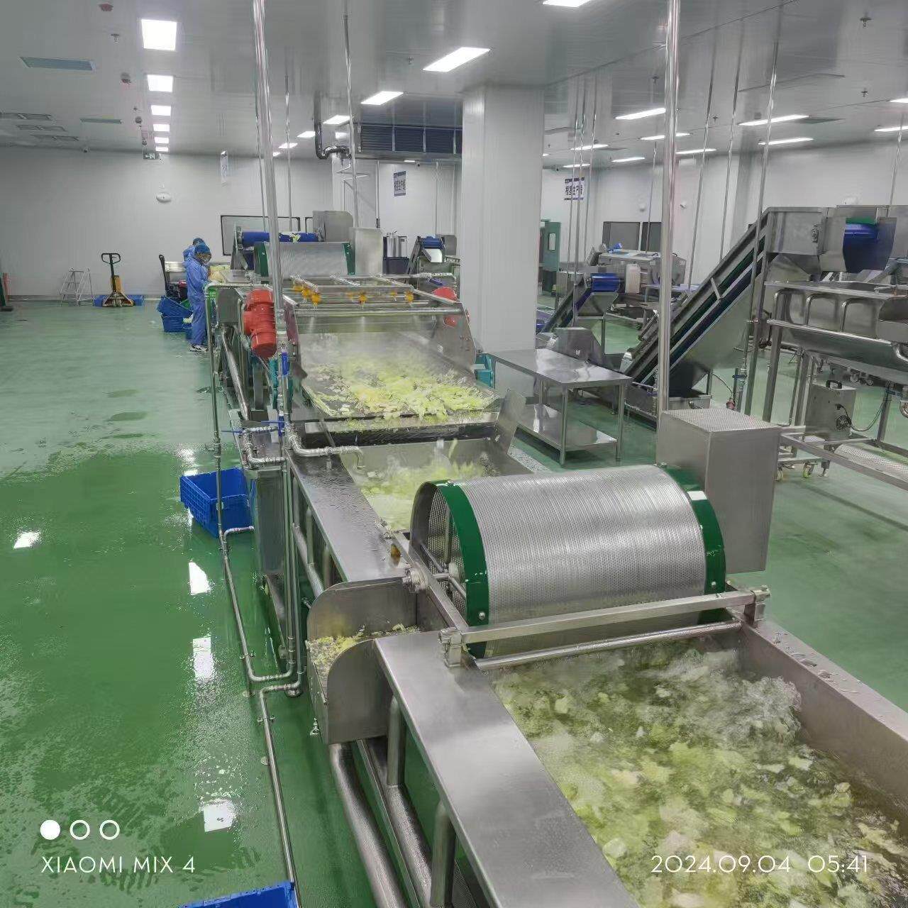 东北酸菜脱盐清洗机黄瓜片清洗脱盐机葡萄樱桃气泡翻浪清洗线
