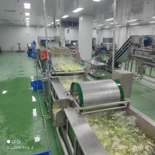 东北酸菜脱盐清洗机黄瓜片清洗脱盐机葡萄樱桃气泡翻浪清洗线