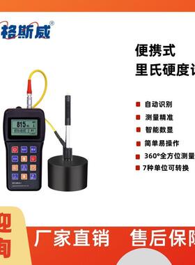 EH110便携式里氏硬度计自动识别测量精准智能数显