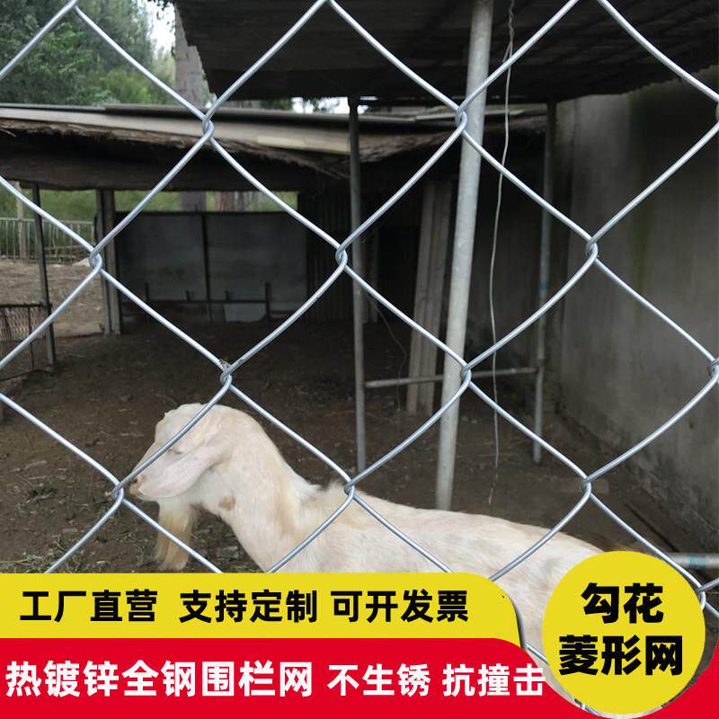 热镀锌铁丝网围栏防护网勾花网钢丝网养殖猪牛羊栏网果园围护栏网