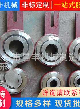 厂家供应提升机止逆器防逆止GN低速滚柱止逆器机械配件