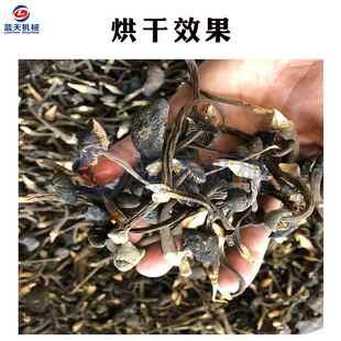 空气能鸡枞菌烘干机 松茸菌菌子烘干设备 黑皮鸡枞菌油鸡枞烘烤机