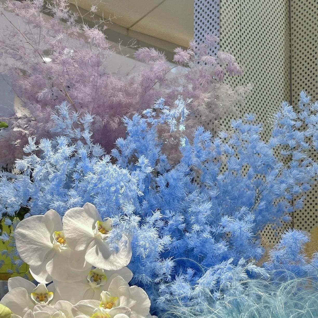 永生花蓬莱松染色真花仿真蓬莱松DIY材料礼盒制作材料工厂