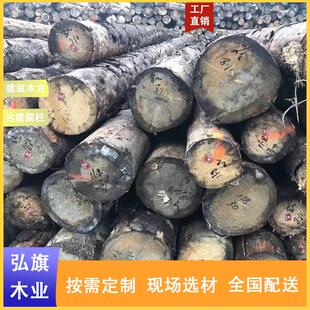 大口径云杉原木防腐木云杉工地建筑木方家具烘干板材杉木条龙骨