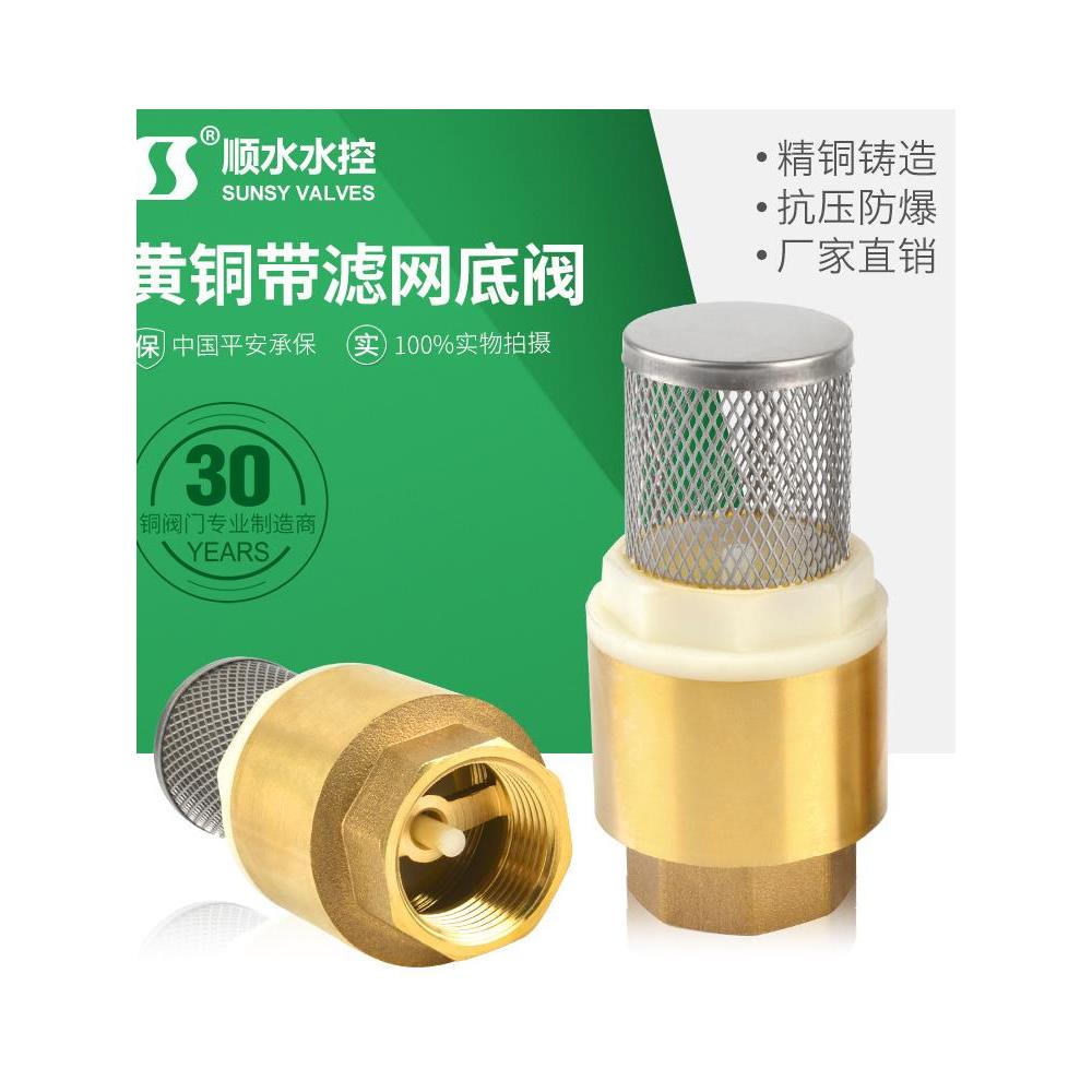 全铜网铜底阀吸泵弹簧垂直止回阀防回流垂直底阀Dn20Dn25井底阀