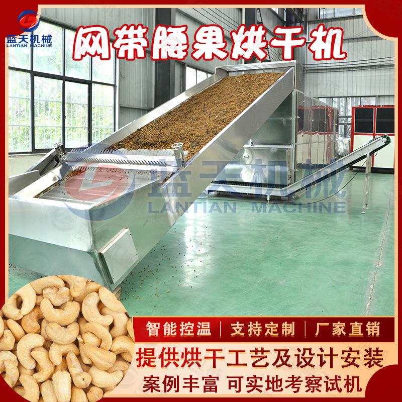 网带腰果烘干机全自动水洗腰果坚果烘干设备肾果树开心果干燥机