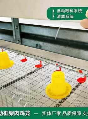 层蛋鸡养殖备热镀锌全自动立体设式养CXP鸡设备自动化叠养套鸡全