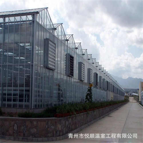 智能玻璃温室育苗温室大棚无土栽培玻璃温室大棚工程生产厂家配件