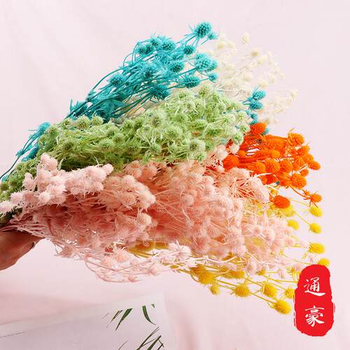 永生花情人果 小刺芹永生紫蓟 家居装饰拍摄道具插花礼盒配材