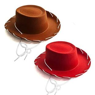 Children Brown Red Felt Woody Cowboy Hat Western Suede Cowgi