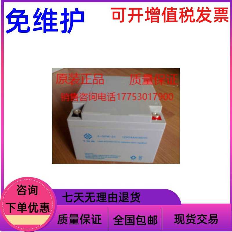 6-FM-24AH 12v24ah 蓄电池UPS/EPS直流屏消防通讯