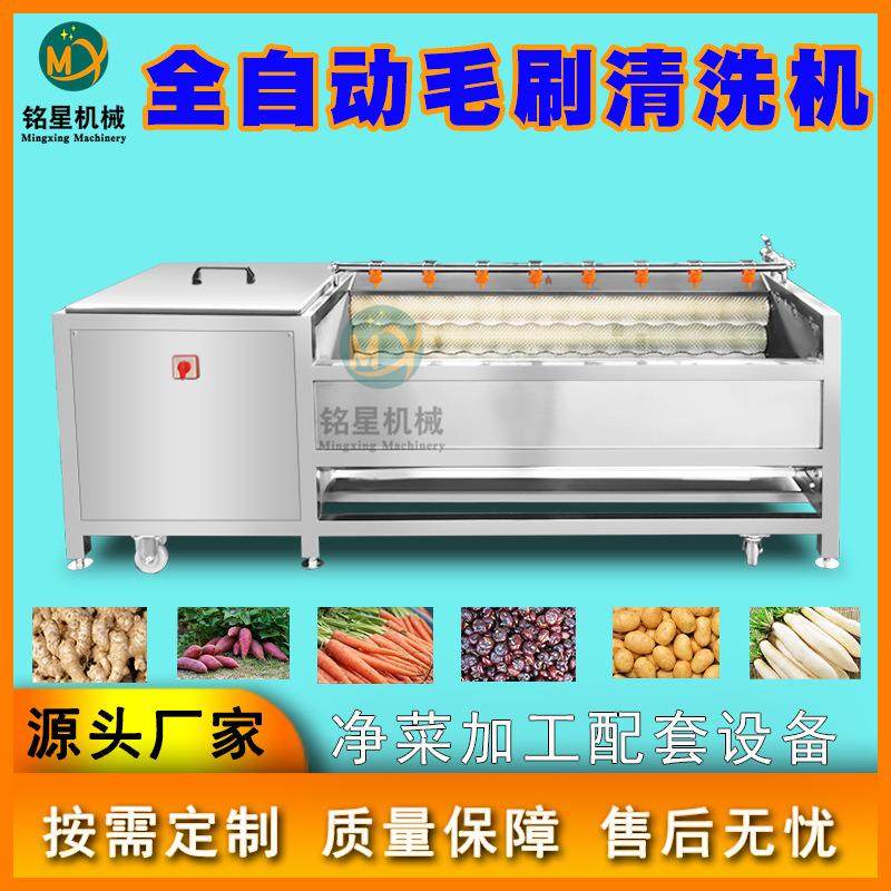 现货猪头猪蹄猪耳朵清洗机 全自动毛辊去皮机 海蛎子扇贝清洗机,五金/工具,其他机械五金,淘宝优惠券,粉丝福利购,淘宝优惠卷