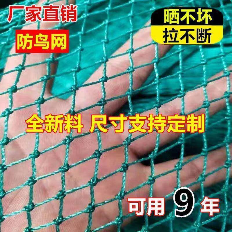 果园防鸟网果树防鸟用网大棚尼龙线防鸟网养鸡尼龙网养殖天网鱼塘