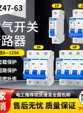 空气开 关小型断路器DZ47-63空开 家用保护器1P2P3P4P 100A总闸电