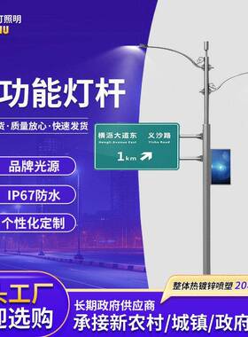 20304不锈钢路灯中杆灯照明太阳能户外灯低双臂灯杆道路照明