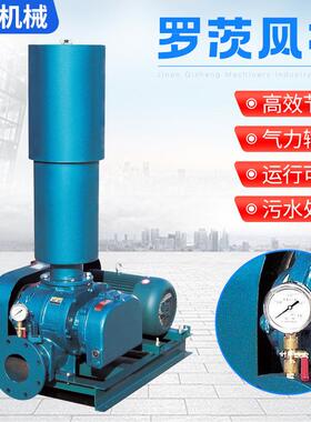厂家现货罗茨鼓风机工业制造CCR-100风机高压耐磨罗茨鼓风机