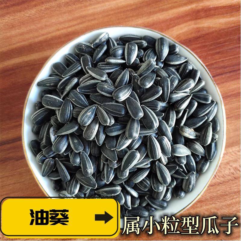 速发现货小油葵20斤50斤新货瓜子油葵小瓜籽原味562油葵榨油原料