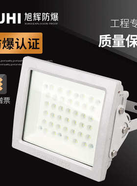 XHD97 LED防爆灯50W防爆投光灯100W厂房车间防爆泛光灯