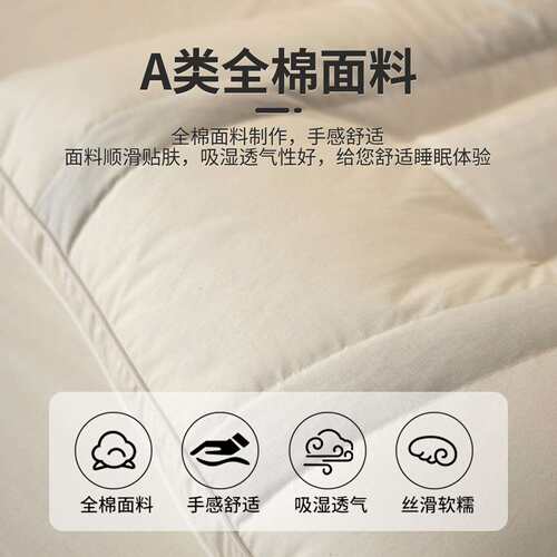 全棉决明子枕头枕芯一对装家用单人荞麦硬整头芯护颈椎助睡眠男