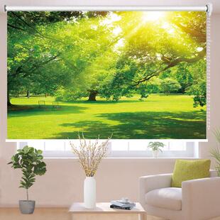 定制风景画窗帘卷帘遮阳光防晒客厅卧室阳台卫生间防水升降免打孔