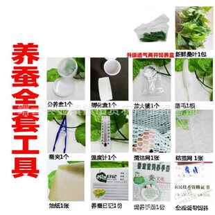 【官方旗舰店】蚕宝宝饲养箱养蚕工具全套饲养盒夹子羽毛清理网结