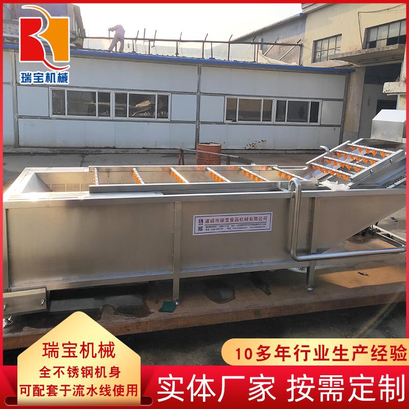 百香果链板式清洗机商用金钱橘清洗机全自动蒲公英气泡清洗机