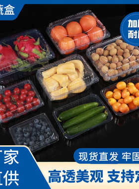厂家直销塑料水果托盘盒打包盒圣女果5斤装切水果专用盒一次性水