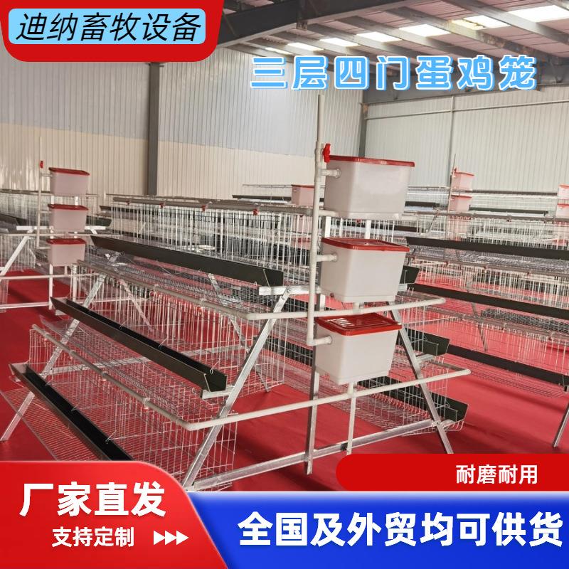 三层四层阶梯蛋鸡笼全自动养鸡养殖设备加背负式喂料机源头厂家