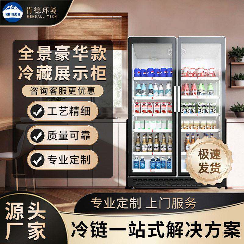 厂家定制酒水展示柜啤酒饮料柜冷藏冰柜商用冷柜双门酒吧冰箱