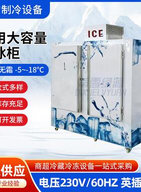 中东跨境风冷无霜储冰柜商用大容量230V60HZ英插冷冻存冰设备厂家