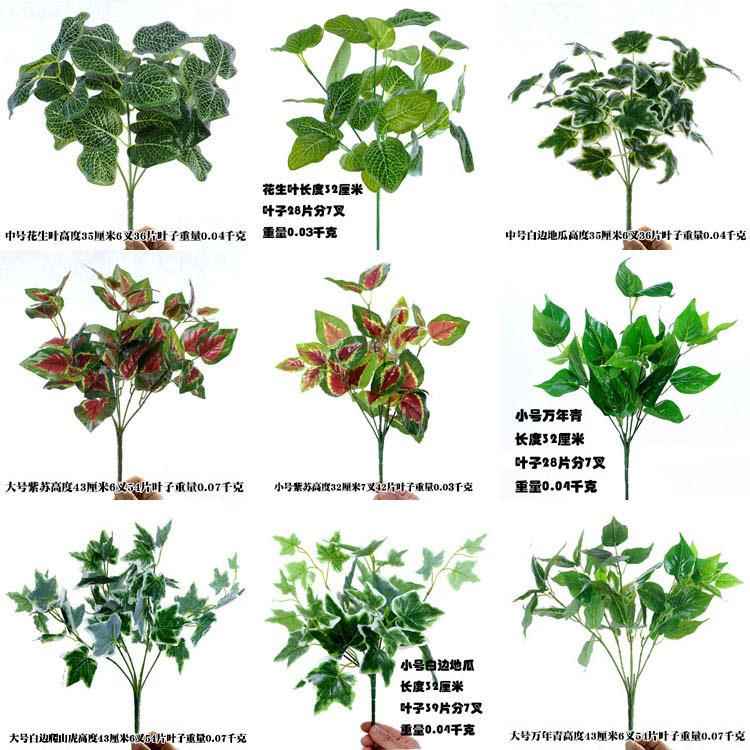 仿真单枝绿植植物绿色植物墙配件搭配用仿真塑胶绿萝单枝花朵