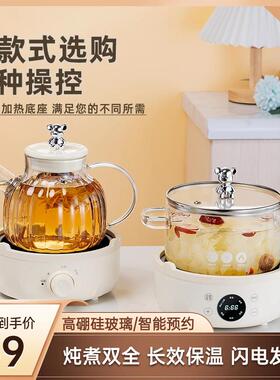 养生壶小型办公室养生杯多功能家用花茶壶玻璃烧水壶两件式煮茶器