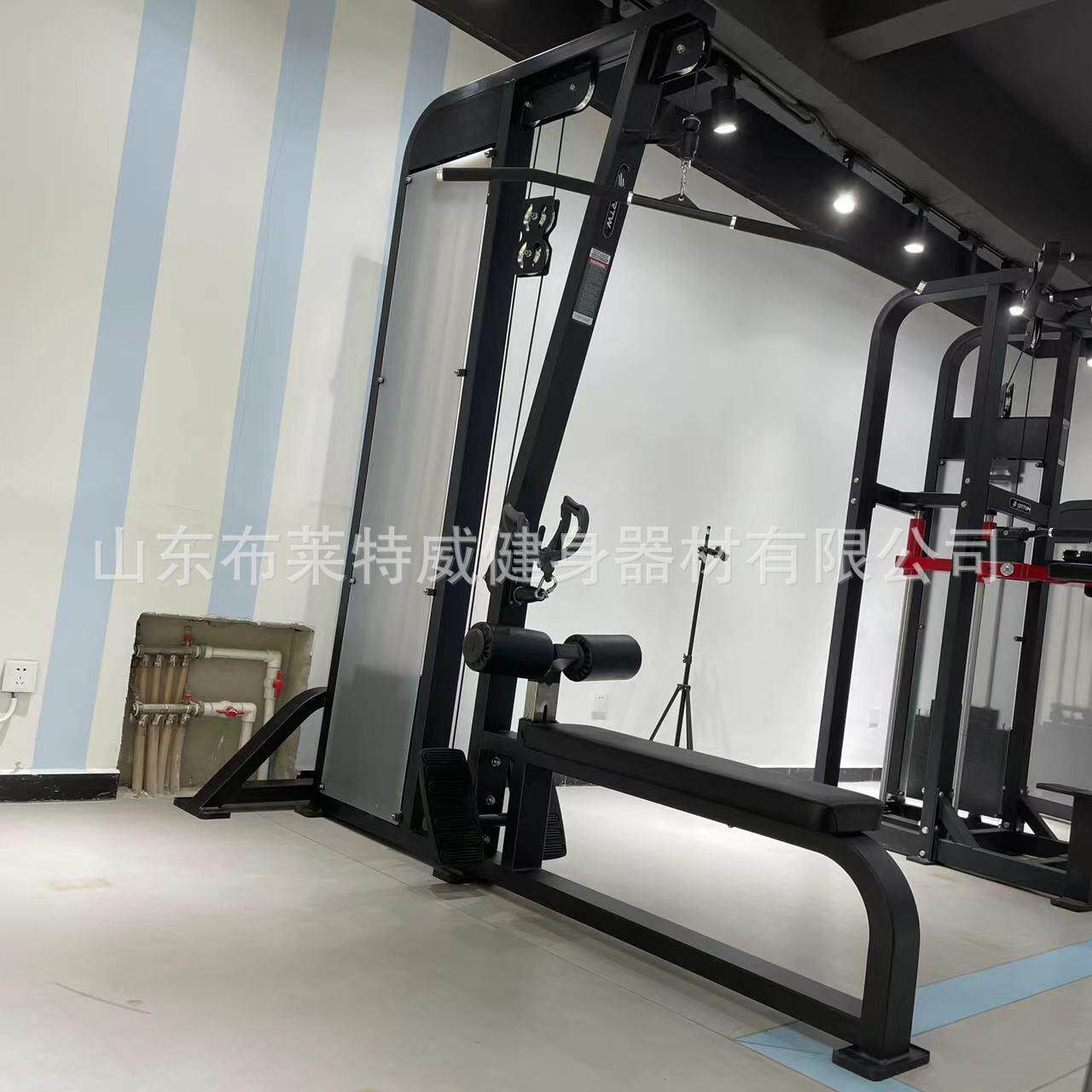 山东健身器材厂背肌训练器材高拉背肌组合训练器高拉低拉健身器械