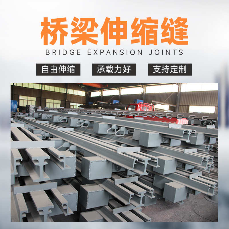 定制桥梁伸缩装置跨海大桥城市高架桥高速立交桥梁多向变位伸缩缝