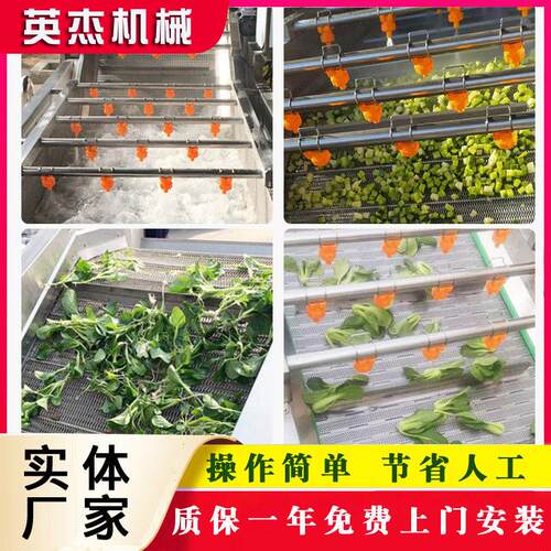 大型荠菜气泡清洗机 连续式野菜清洗流水线 不锈钢洗菜设备